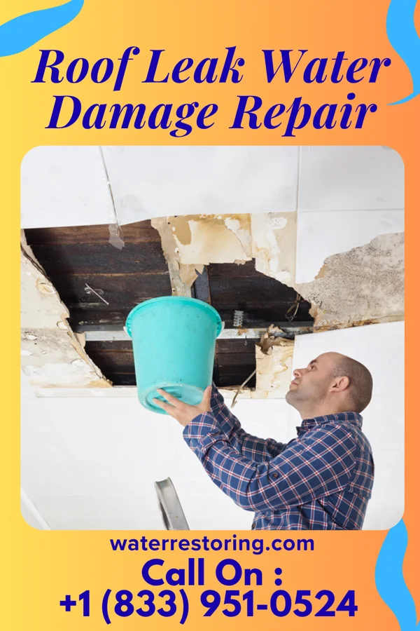 Roof Leak Water Damage Repair in Hayti, MO
