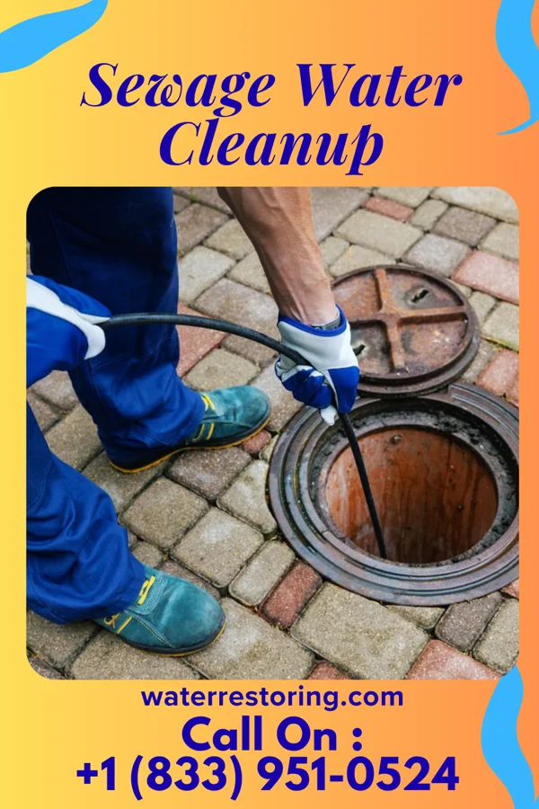 Sewage Water Cleanup in Hayti, MO